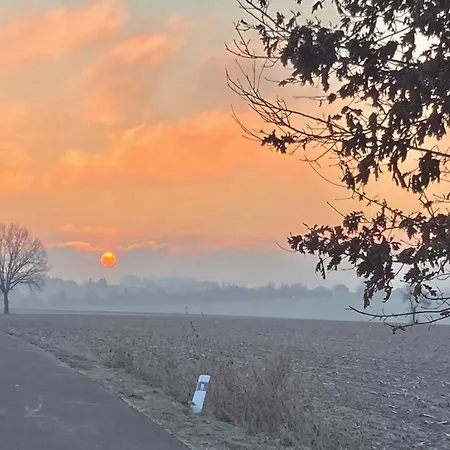 Zweinig 04 * Rosswein