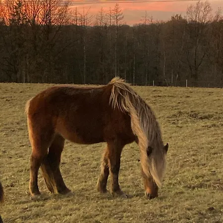 アパート Zweinig 04 *